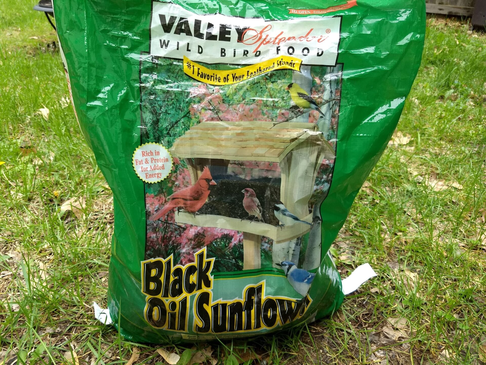 Aldi Birdseed and Suet Aldi Reviewer