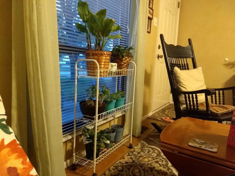 How to Turn Aldi's Easy Home Laundry Cart Into a House Plant Stand ...