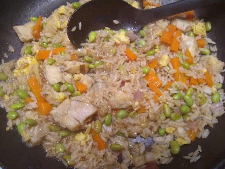 Fusia Asian Inspirations Chicken Fried Rice | Aldi Reviewer