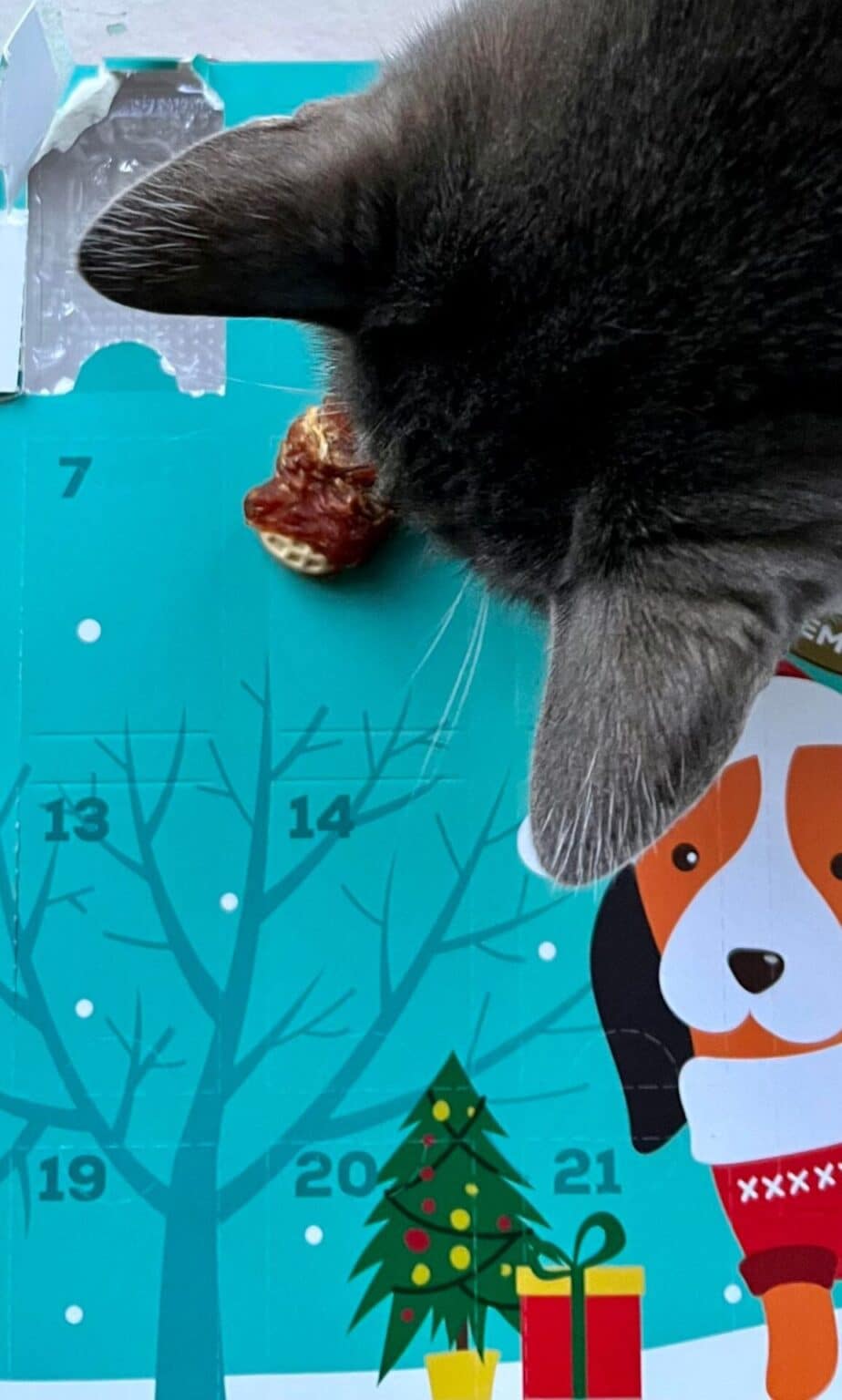 Heart to Tail Pure Being Dog Advent Calendar (2022) ALDI REVIEWER