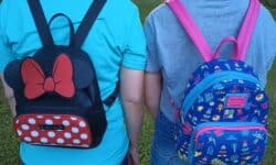 Aldi vs. Loungefly Mini Backpacks